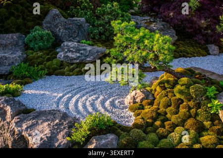 Part of Japanese garden on Chelsea  Flower show    (2026) with Japanese maple trees and small artificial stream (cascade of waterfalls) . Stock Photo