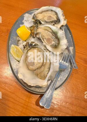 Freshly opened Valencian Oysters on a plate with ice and lemon. Stock Photo