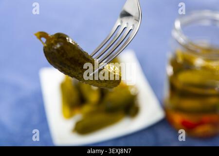 One pickled cucumber on fork, homemade preserves Stock Photo