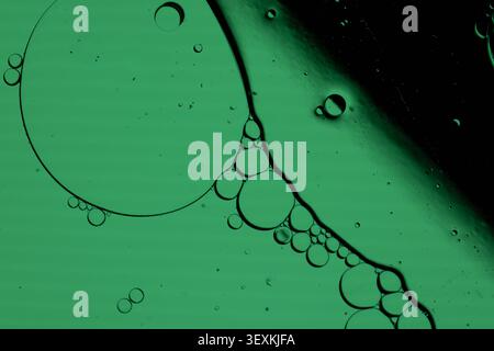 Macro view of green liquid with suspended bubbles, flowing dark boundary, and translucent circular shapes creating abstract science or cosmetic background Stock Photo