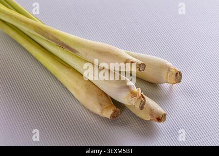 Closeup of fresh lemongrass stalks arranged diagonally on textured white background. Soft natural lighting highlights pale yellow green hues fibrous t Stock Photo