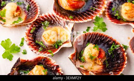 Cooked scallops with parsley on a baking sheet Stock Photo