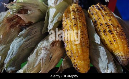 Charcoal Grilled Corn with Fresh Husks Stock Photo