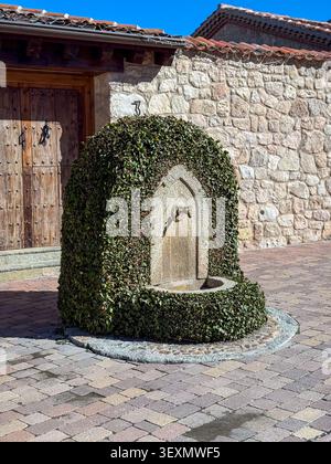 Vertical view of a historic water fountain shaped by green hedge and ivy, set against a rough stone wall and a heavy wooden door. Shot on a cobbleston Stock Photo