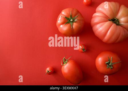 Assorted fresh tomatoes of different sizes and varieties arranged on a vibrant red background with copy space, creating a bold minimalist food composi Stock Photo
