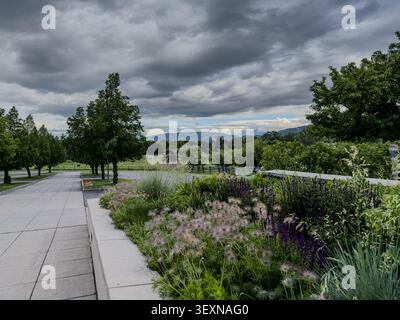 Feathery prairie smoke blooms over a stone walkway at a resort garden; dark storm clouds are building over distant Wyoming mountain Stock Photo