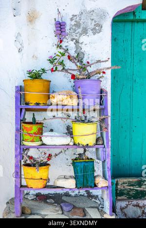 Colorful outdoor decor with plant pots on purple wooden shelves and green door in the village of Klima in Milos, Cyclades islands, Greece Stock Photo