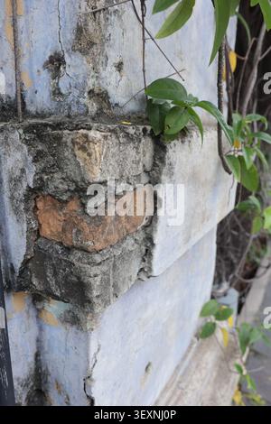 shows deteriorated plaster exposing brickwork beneath peeling blue, beige, and white paint in a wall corner. Stock Photo