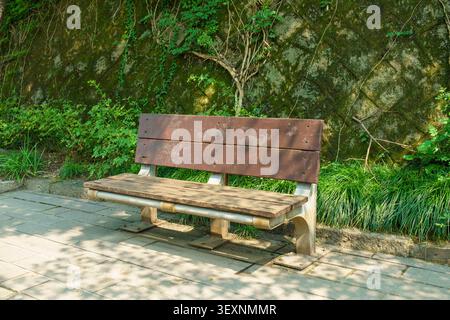 An empty wooden park bench positioned on a paved stone path beneath sun dapple shadows and a mossy stone wall covered in green ivy. Stock Photo