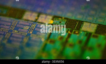 Silicon wafer displaying intricate electronic chip patterns for modern technology Stock Photo