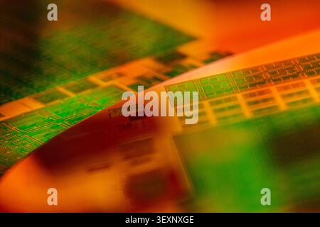 Wafer of microchips reflecting green and orange light, displaying intricate circuit designs Stock Photo
