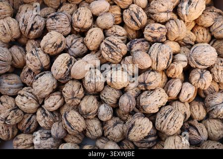 Top view close-up of whole walnuts in shells forming a dense natural texture. Rustic organic nuts background symbolizing healthy eating, harvest seaso Stock Photo