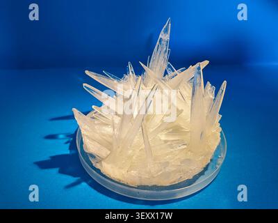 A cluster of sharp, translucent crystals grows from a petri dish against a vibrant blue background, casting long shadows Stock Photo