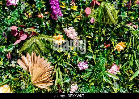 Artificial vertical garden. Madrid, Spain, Europe Stock Photo