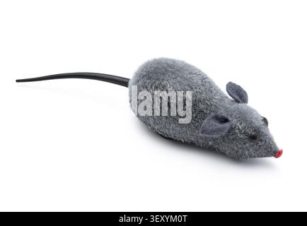 Grey fuzzy mouse cat toy with black tail isolated on white background Stock Photo