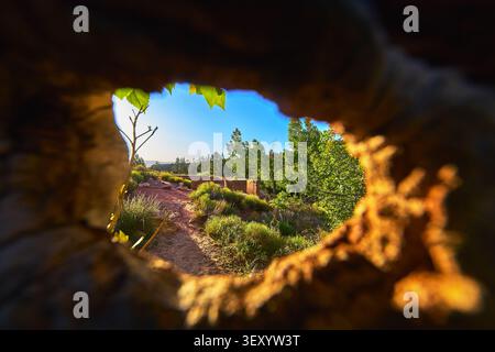 Desert Trail Framed by Hollow Tree and Lush Greenery in Vibrant Morning Light Stock Photo