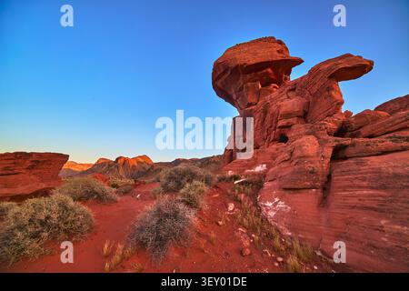 Red Sandstone Formations and Desert Shrubs at Sunrise in Valley of Fire Nevada Stock Photo