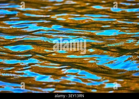 Golden Hour Ripples and Vibrant Reflections on Pond Water Surface Stock Photo