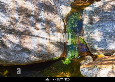 Textured Canyon Rocks Flowing Creek And Green Moss Close Up Stock Photo