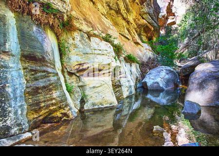 Sandstone Canyon Wall Reflection with Lush Greenery and Shallow Stream Stock Photo