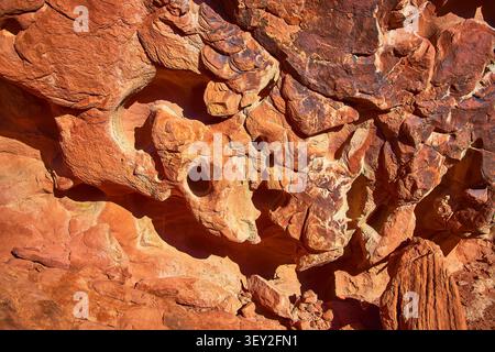 Textured Sandstone Rock Face with Erosion Holes and Sunlit Red Patterns Stock Photo