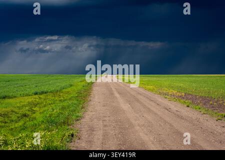 Long dirt road cutting through bright green fields beneath dramatic, dark approaching storm clouds Stock Photo