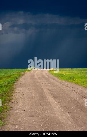 Long dirt road cutting through bright green fields beneath dramatic, dark approaching storm clouds Stock Photo
