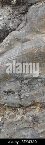 Close up of a weathered rock boulder surface with gray, tan, black and white patches, rough porous texture Stock Photo