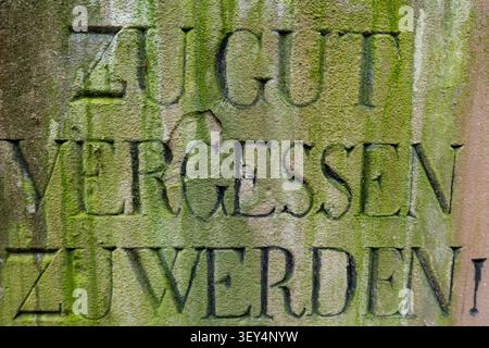 German inscription ZU GUT VERGESSEN ZU WERDEN. - Too good to be forgotten. - carved into weathered stone and covered with vibrant green moss, symboliz Stock Photo