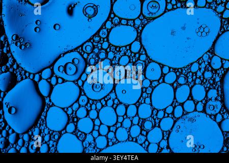 Vivid blue droplets and rounded cells spread across dark fluid background, creating scientific macro abstraction with glossy circles and organic texture Stock Photo