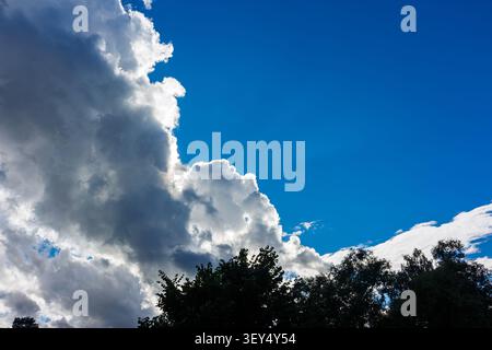 Dramatic bright white cumulus clouds with dark shadows against a deep blue sky over dark green lush treetops on a sunny summer day, capturing a vibran Stock Photo