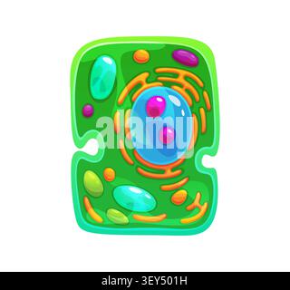 Ameba cell, germ microorganism, bacteria bacillus Stock Vector
