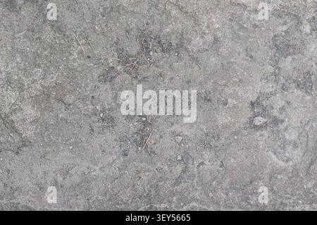 A close-up view of a coarse, weathered gray stone surface featuring small pebbles, dirt, and organic debris scattered across its uneven texture. Stock Photo