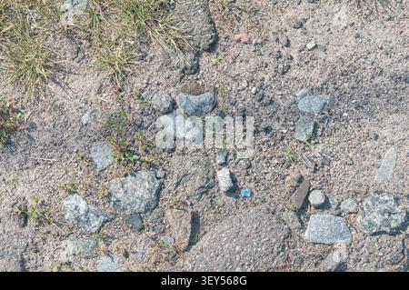 A close-up view of various gray stones and scattered small green plants growing in dry, sandy soil. The scene is natural and textured. Stock Photo