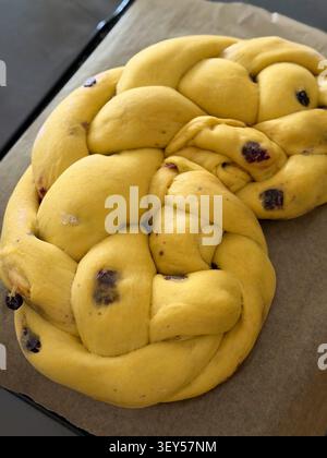 Braided sweet bread dough with raisins ready for baking. A top-view shot of raw, yellow braided yeast dough studded with raisins resting on parchment Stock Photo