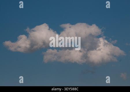 A single, large, white fluffy cloud floating in a vast, clear blue sky. The scene is peaceful and calm, perfect for background or nature-themed conten Stock Photo
