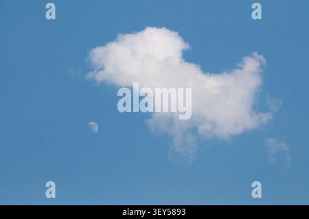 A single white fluffy cloud floats in a bright blue sky alongside a small crescent moon. The scene is peaceful and minimalist with a sense of calm. Stock Photo