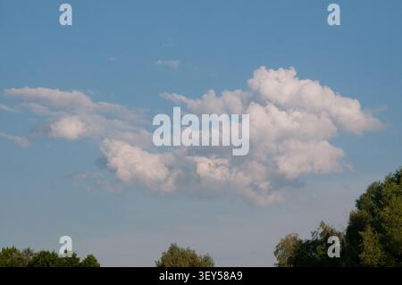 A beautiful view of fluffy white clouds drifting in a clear blue sky above a lush green forest canopy. Stock Photo