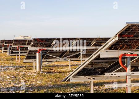 Solar Panels at a Utility-Scale Solar Power Plant Stock Photo