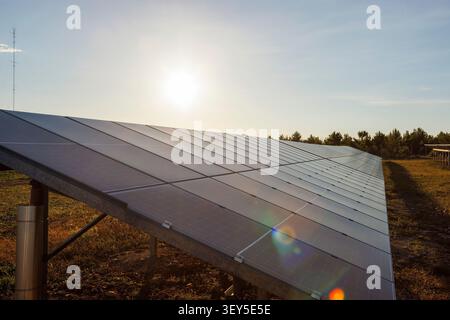 Solar Power Plant at Sunrise with Low Sun Stock Photo