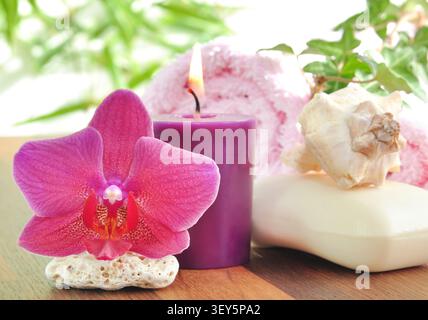 Moth orchid (Phalaenopsis-Hybride), symbolic picture for spa, dark pink orchid blossom, burning red-violet candle, bar of white soap, seashell and rol Stock Photo