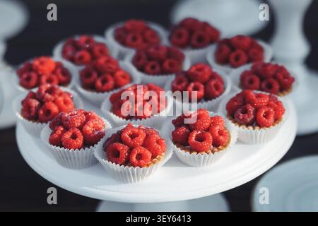 Red berries crown delicate mini tarts. White paper cups hold each sweet treat. They rest on a clean, elegant pedestal. Soft focus background adds gent Stock Photo