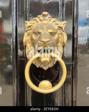 Close up detail of a vintage lion head door knocker in brass. Stock Photo