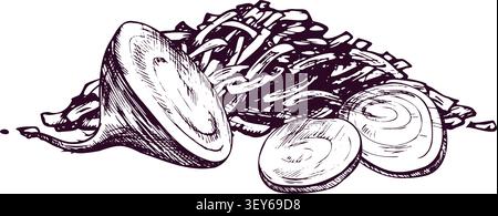 Beetroot and sliced beet isolated on white background. Hand drawn pen and ink illustration in engraving style. Natural vegetable ingredient for Stock Vector