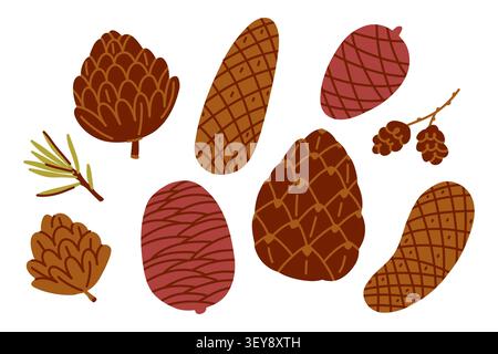Hand Drawn Pine Cone Collection, Forest Botanical Illustration with Conifer Cones, Evergreen Branches and Woodland Nature Elements. Vector illustratio Stock Vector