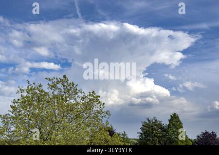 Large white cloud piling up to cumulonimbus anvil Cumulus cluster cloud against blue sky, Germany Stock Photo