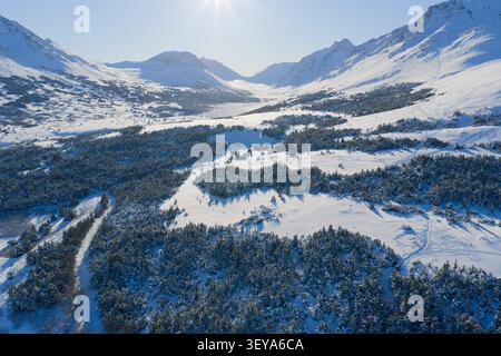 High-angle drone view of snow-covered mountains and evergreen pine forests in the remote winter wilderness of Alaska. Stock Photo