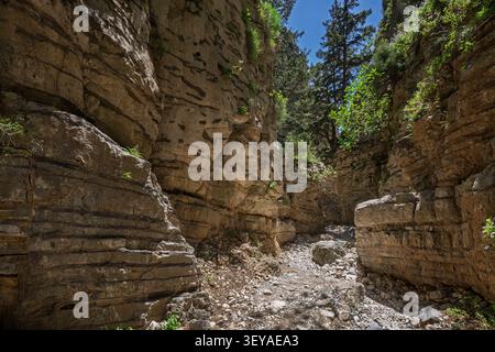Rocky path winding through rugged and lush cliffs along the Imbros Gorge hiking trail in Crete, Greece, on sunny day. Stock Photo