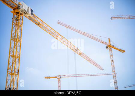 Sample image on the topic of construction: Yellow cranes are on the construction site of the IPAI Campus in Heilbronn, 07/02/2026. Stock Photo