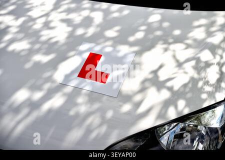Red L Plate on car bonnet Learning to Drive Vehicle Stock Photo